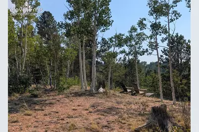 Fairview Drive, Cripple Creek, CO 80813 - Photo 1