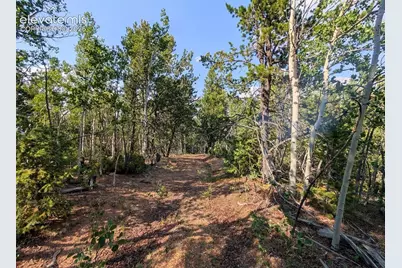 Fairview Drive, Cripple Creek, CO 80813 - Photo 16