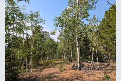 Fairview Drive, Cripple Creek, CO 80813 - Photo 8