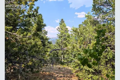 Fairview Drive, Cripple Creek, CO 80813 - Photo 2