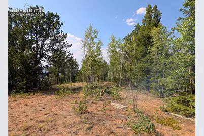 Fairview Drive, Cripple Creek, CO 80813 - Photo 14