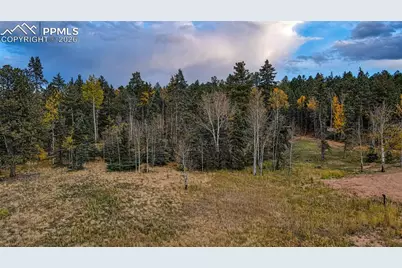 166 Denwood Drive, Florissant, CO 80816 - Photo 2