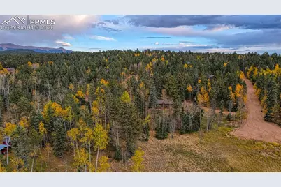 166 Denwood Drive, Florissant, CO 80816 - Photo 10