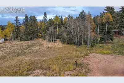 166 Denwood Drive, Florissant, CO 80816 - Photo 12