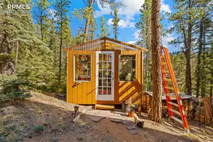 1253 E Bison Creek Trail, Divide, CO 80814 - Photo 28