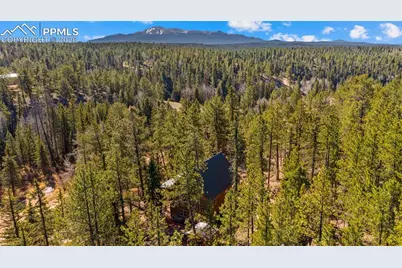 1253 E Bison Creek Trail, Divide, CO 80814 - Photo 40