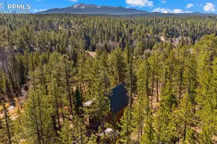 1253 E Bison Creek Trail, Divide, CO 80814 - Photo 40