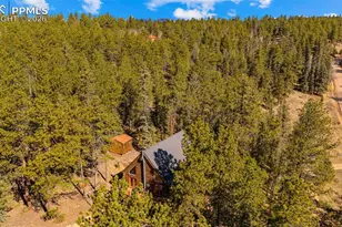1253 E Bison Creek Trail, Divide, CO 80814 - Photo 36