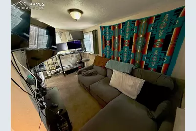 220 Willow Street, Colorado Springs, CO 80903 - Photo 22