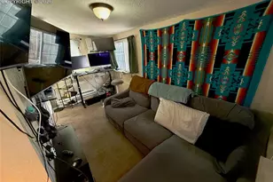 220 Willow St, Colorado Springs, CO 80903 - Photo 22