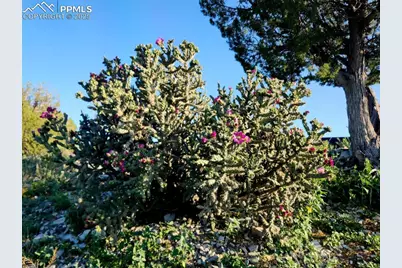 7480 Red Creek Springs Road, Pueblo, CO 81005 - Photo 46