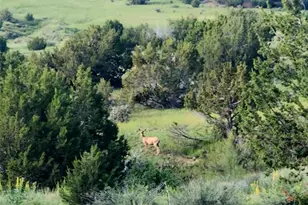 7480 Red Creek Springs Rd, Pueblo, CO 81005 - Photo 40