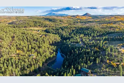 71 Durelli Drive, Woodland Park, CO 80863 - Photo 28