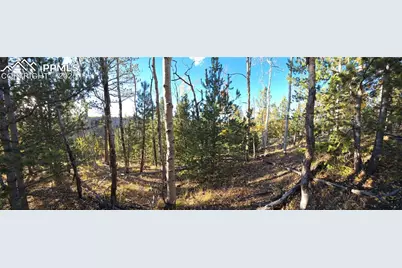 899 Little Topsey Drive, Cripple Creek, CO 80813 - Photo 26