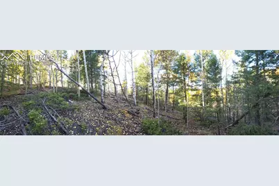 899 Little Topsey Drive, Cripple Creek, CO 80813 - Photo 28