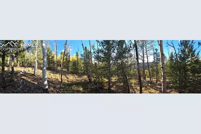 899 Little Topsey Drive, Cripple Creek, CO 80813 - Photo 24