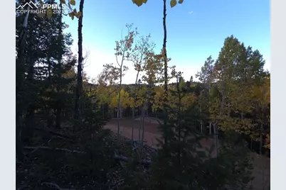 899 Little Topsey Drive, Cripple Creek, CO 80813 - Photo 10