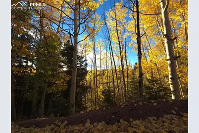 899 Little Topsey Drive, Cripple Creek, CO 80813 - Photo 2