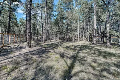 2550 Mountain Pine Lane, Colorado Springs, CO 80921 - Photo 46