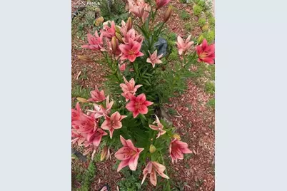 3978 Pronghorn Meadows Circle, Colorado Springs, CO 80922 - Photo 20