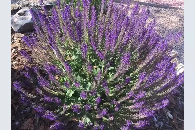 3978 Pronghorn Meadows Circle, Colorado Springs, CO 80922 - Photo 34