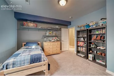 5296 Mount Cutler Court, Colorado Springs, CO 80924 - Photo 38