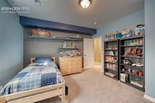 5296 Mount Cutler Ct, Colorado Springs, CO 80924 - Photo 38