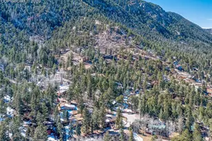 9735 Mountain Rd, Cascade, CO 80809 - Photo 8