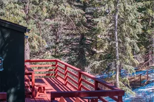 9735 Mountain Rd, Cascade, CO 80809 - Photo 12