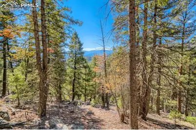 0 Elsie Road, Conifer, CO 80433 - Photo 16