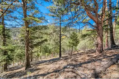 0 Elsie Road, Conifer, CO 80433 - Photo 6