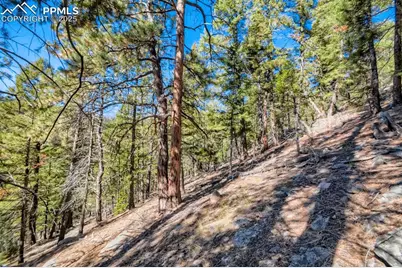 0 Elsie Road, Conifer, CO 80433 - Photo 12