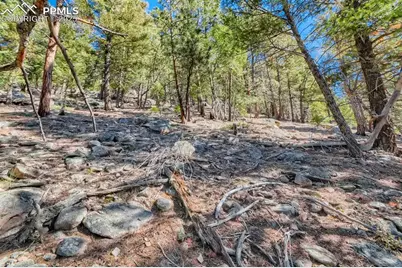 0 Elsie Road, Conifer, CO 80433 - Photo 10