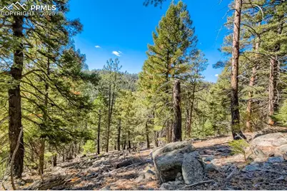 0 Elsie Road, Conifer, CO 80433 - Photo 14