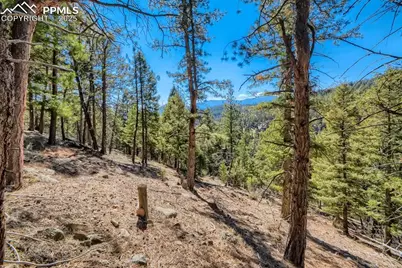 0 Elsie Road, Conifer, CO 80433 - Photo 8