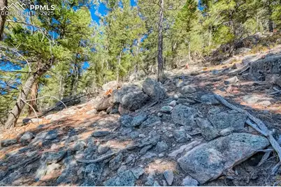 0 Elsie Road, Conifer, CO 80433 - Photo 18