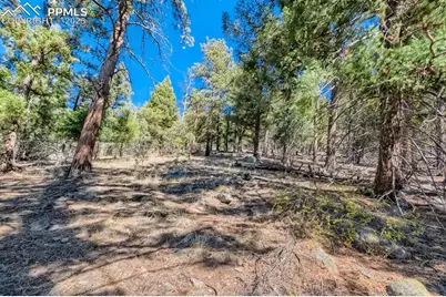 0 Elsie Road, Conifer, CO 80433 - Photo 4