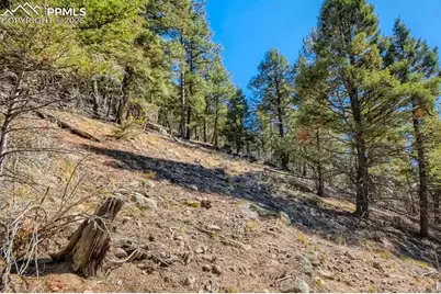 0 Elsie Road, Conifer, CO 80433 - Photo 24