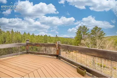 1736 County Road 3 Road, Florissant, CO 80816 - Photo 18