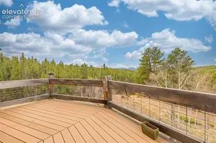 1736 County Road 3 Rd, Florissant, CO 80816 - Photo 18