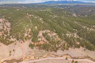 1736 County Road 3 Rd, Florissant, CO 80816 - Photo 42