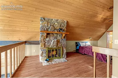 1736 County Road 3 Road, Florissant, CO 80816 - Photo 30