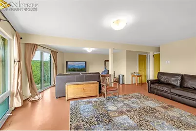 1736 Wildhorn Road, Florissant, CO 80816 - Photo 14