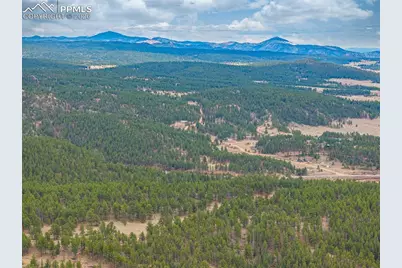 1736 Wildhorn Road, Florissant, CO 80816 - Photo 38