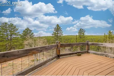 1736 Wildhorn Road, Florissant, CO 80816 - Photo 18