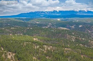 1736 County Road 3 Rd, Florissant, CO 80816 - Photo 40