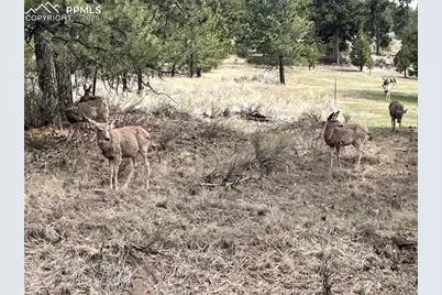 1234 Edelweiss Drive, Westcliffe, CO 81252 - Photo 26