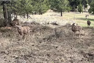 1234 Edelweiss Dr, Westcliffe, CO 81252 - Photo 26