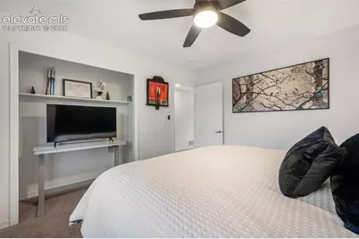 556 Coyote Willow Drive, Colorado Springs, CO 80921 - Photo 38