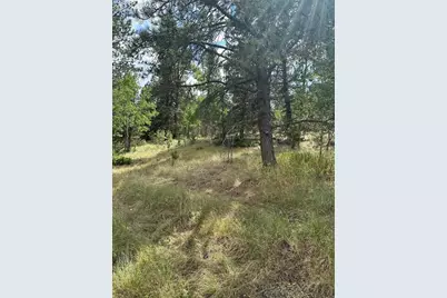 17 and 33 Deer Ridge Trail, Florissant, CO 80816 - Photo 6